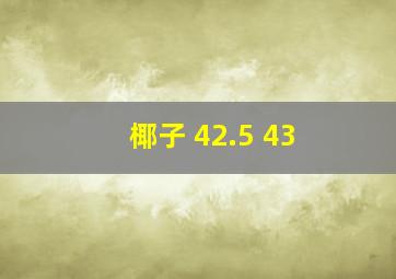 椰子 42.5 43